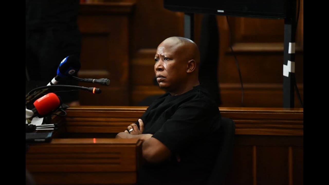 Julius Malema You think very low of Black people