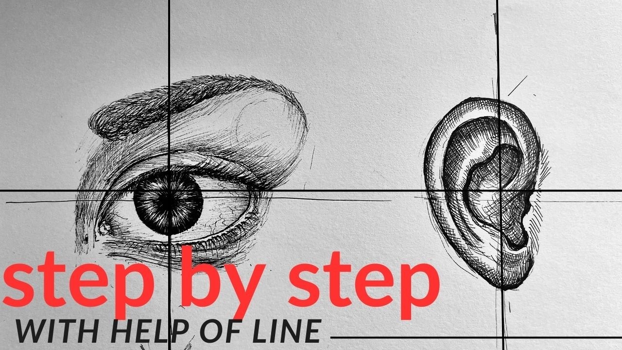 how to draw ear, nose, lips in cross hatch step by step