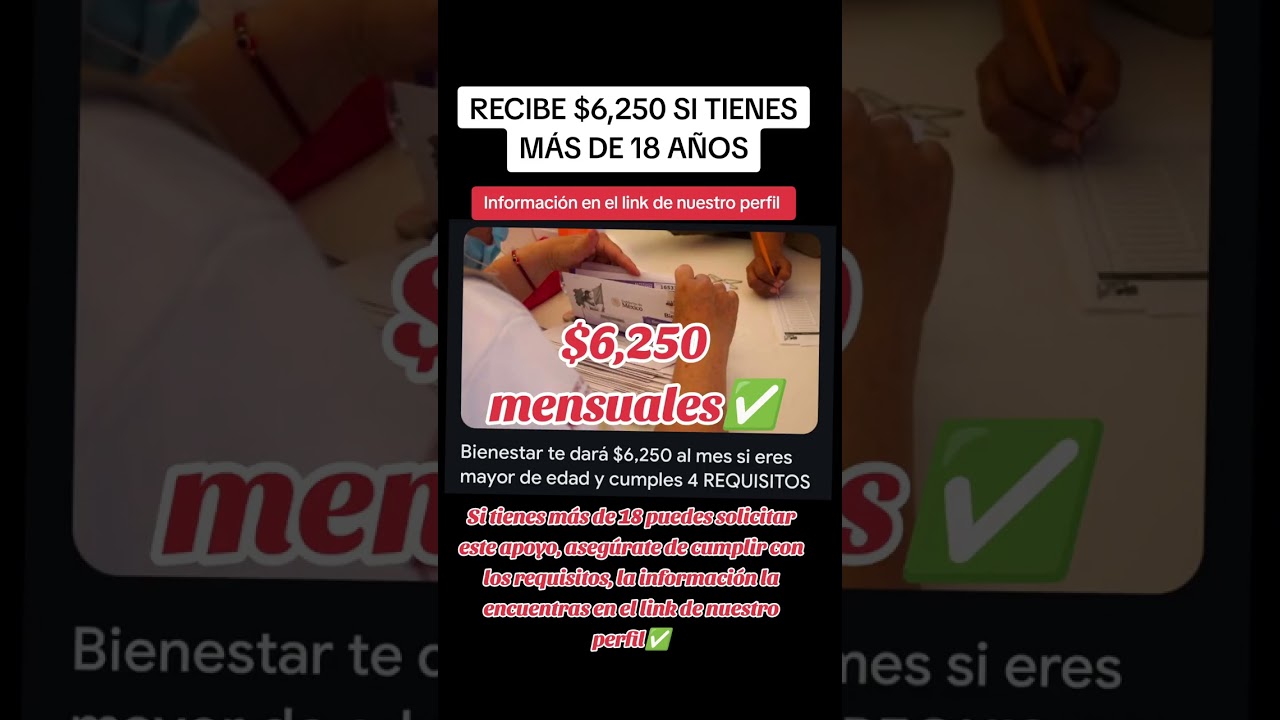 So cumples los requisitos puedes solicitar este apoyo de bienestar