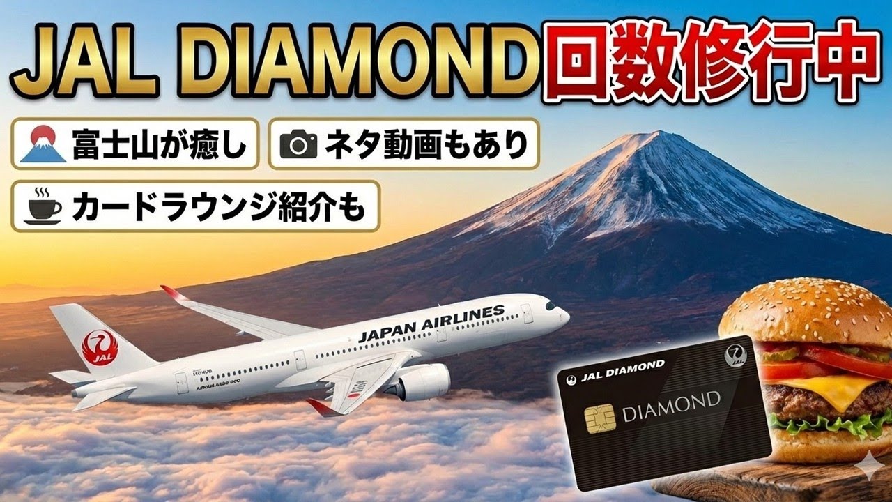 JAL DIAMOND回数修行経過