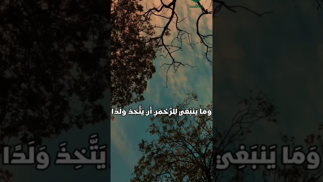 كلمةٌ تهتز لها السماوات… ويعلو بها توحيد الله في قلوب المؤمنين. 💙 #مشكاة #المصحف #لايك #رواق