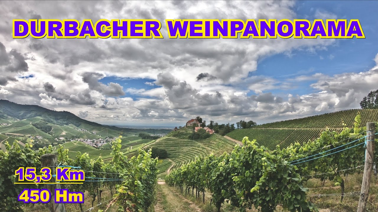 Durbacher Weinpanorama (Genießerpfad) | Genusswandern im Schwarzwald 🌲🍇🍷👣