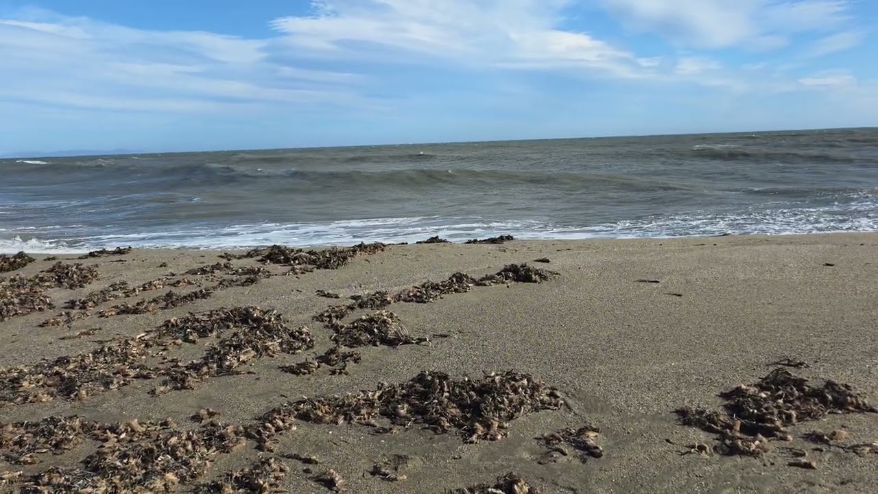 La laja del palo 🌊