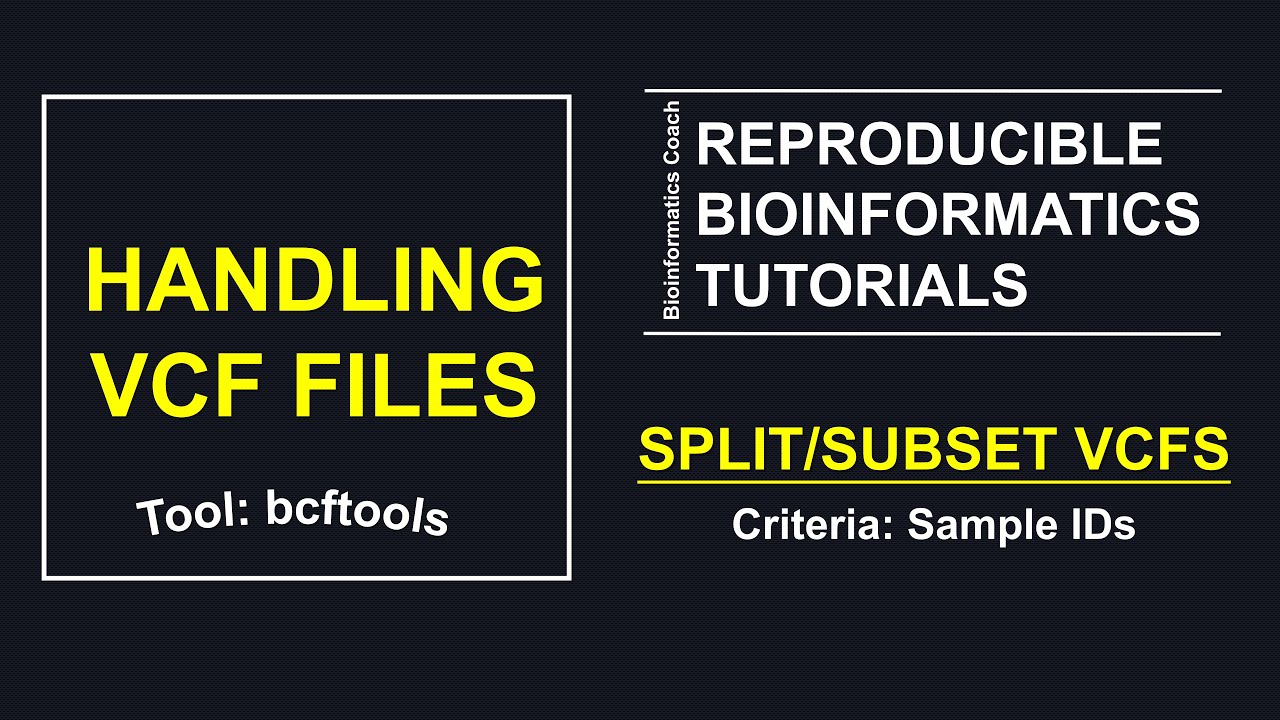 BCFTOOLS view  | BCFTOOLS split | Split or Subset VCF files based on Sample IDs