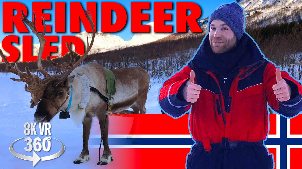 A Reindeer Ride - Guided Tour - 8K 360 VR Video!
