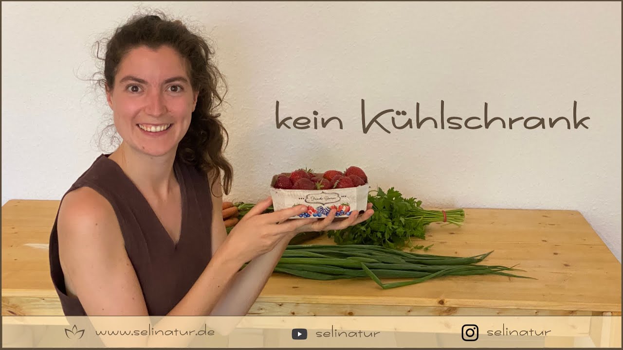 KEIN Kühlschrank UPDATE im Sommer | Plastikfrei Leben | Eure Fragen