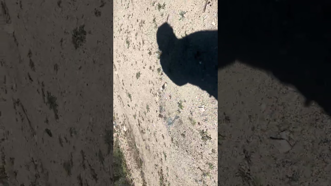 A quien se le perdería ?? 