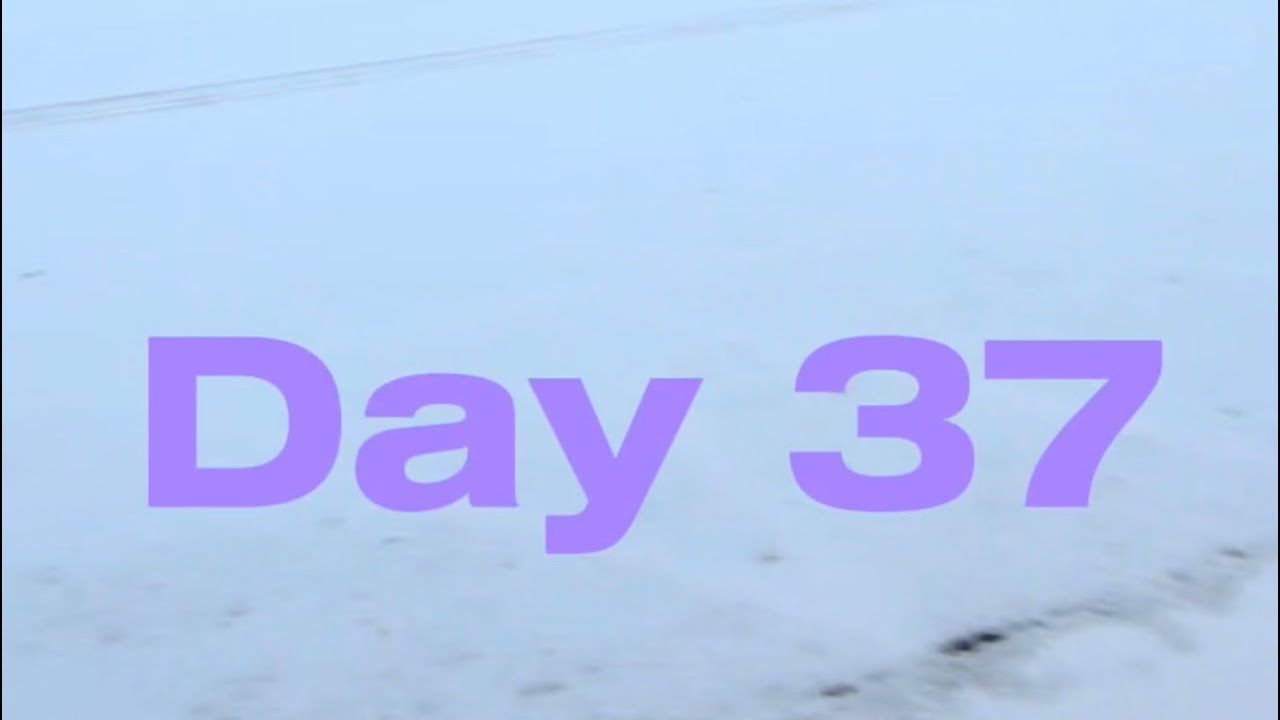 Day 37/100 – Slow days hit different in Canada 🇨🇦Cold outside. Quiet inside.Still chasing dreams❄️✨