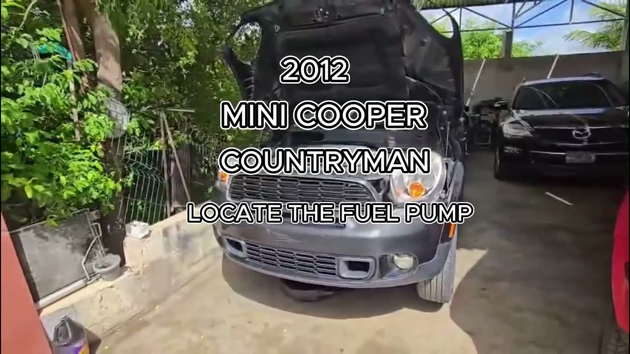 Mini Cooper Countryman Fuel Pump