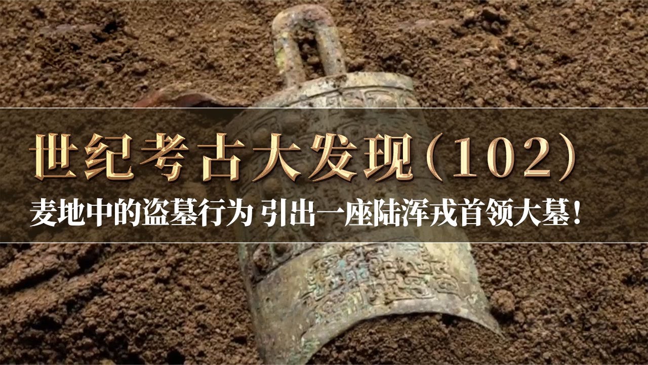 麦地中的盗墓行为 引出一座陆浑戎大墓！13件编钟 5个编磬 解码大墓主人真实身份！《探索·发现》世纪考古大发现（102）丨 中华国宝