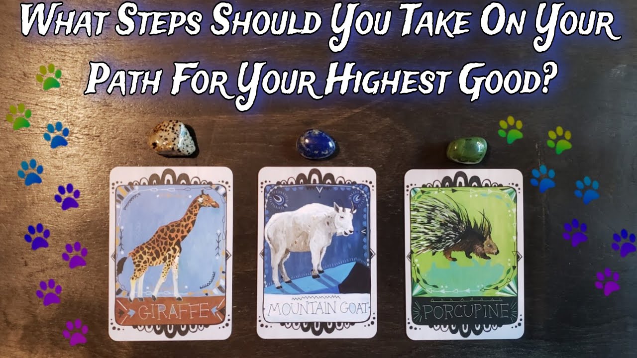 🌟🌈💛 What Steps Should You Take On Your Path For Your Highest Good? 🌈🌟💜 Pick A Card Reading