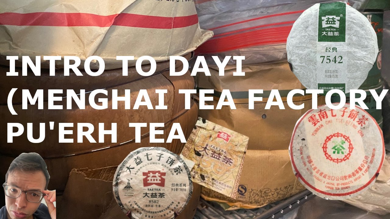 Introduction to Dayi (Menghai Tea Factory), All About, Basics, Teas to Try [Inbetweenisode 340]