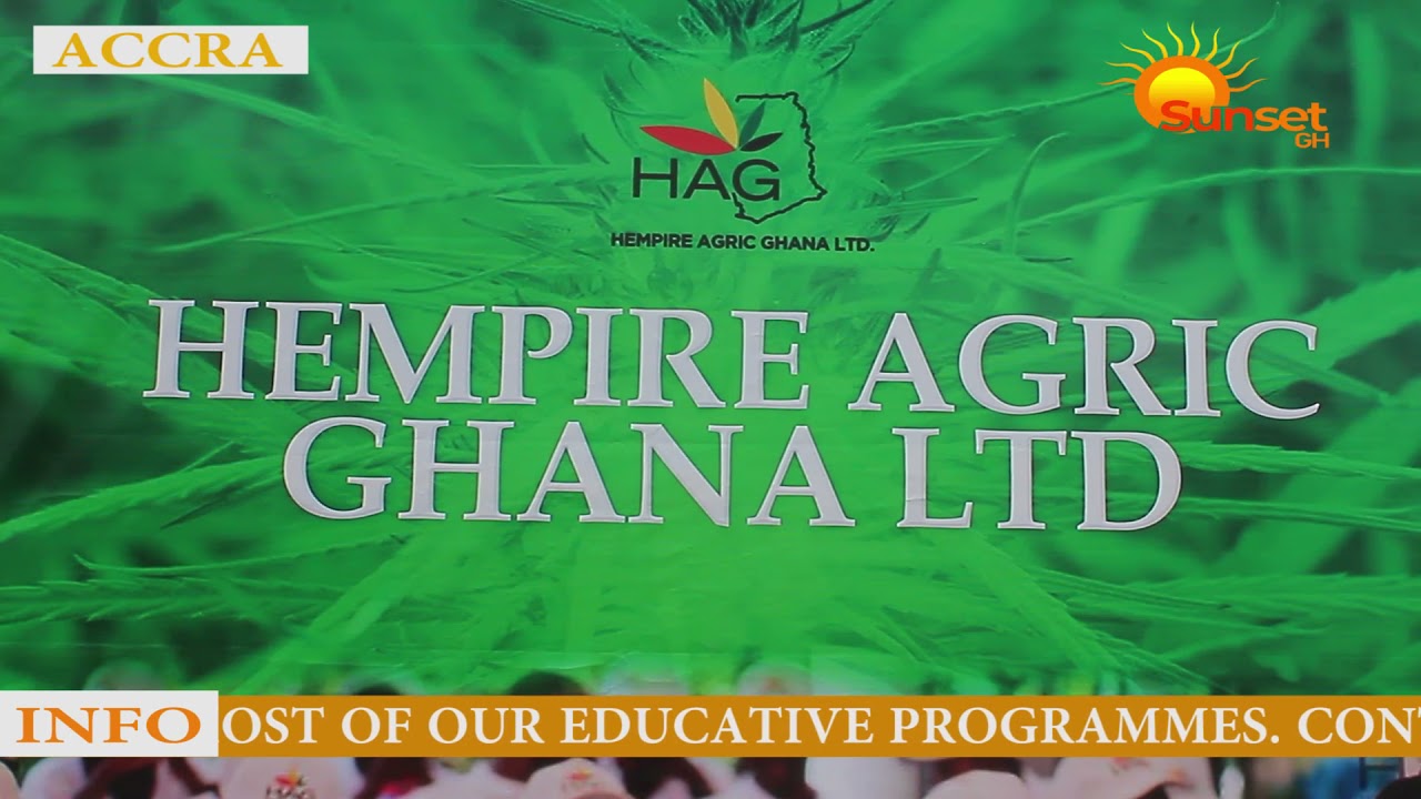 Marijuana to be legalized in Ghana ? watch to the end.