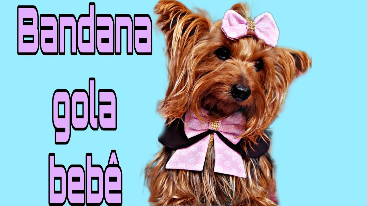 Bandana/Gola bebê /molde do P ao GG na descrição.