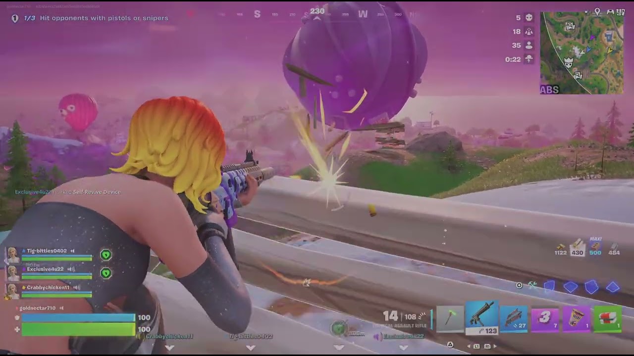 Fortnite_20260213220306