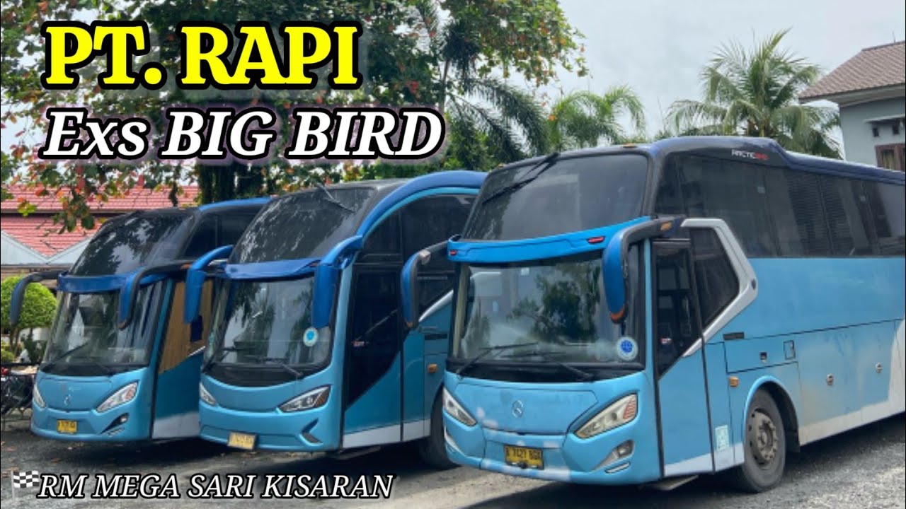 Unit Terbaru PT RAPI EXS BIG BIRD Masuk 4 unit 🔥🔥