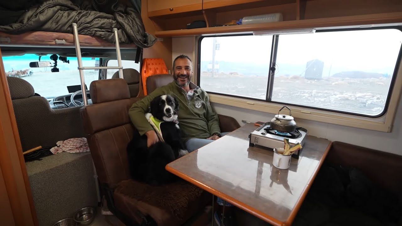 Van CAMPING with my dog on a mountain in Freezing Cold