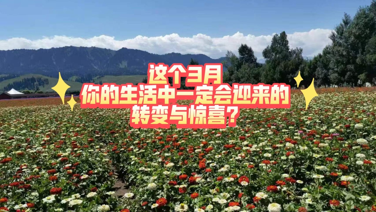 这个3月你的生活中一定会迎来的转变与惊喜?（2026年3月）
