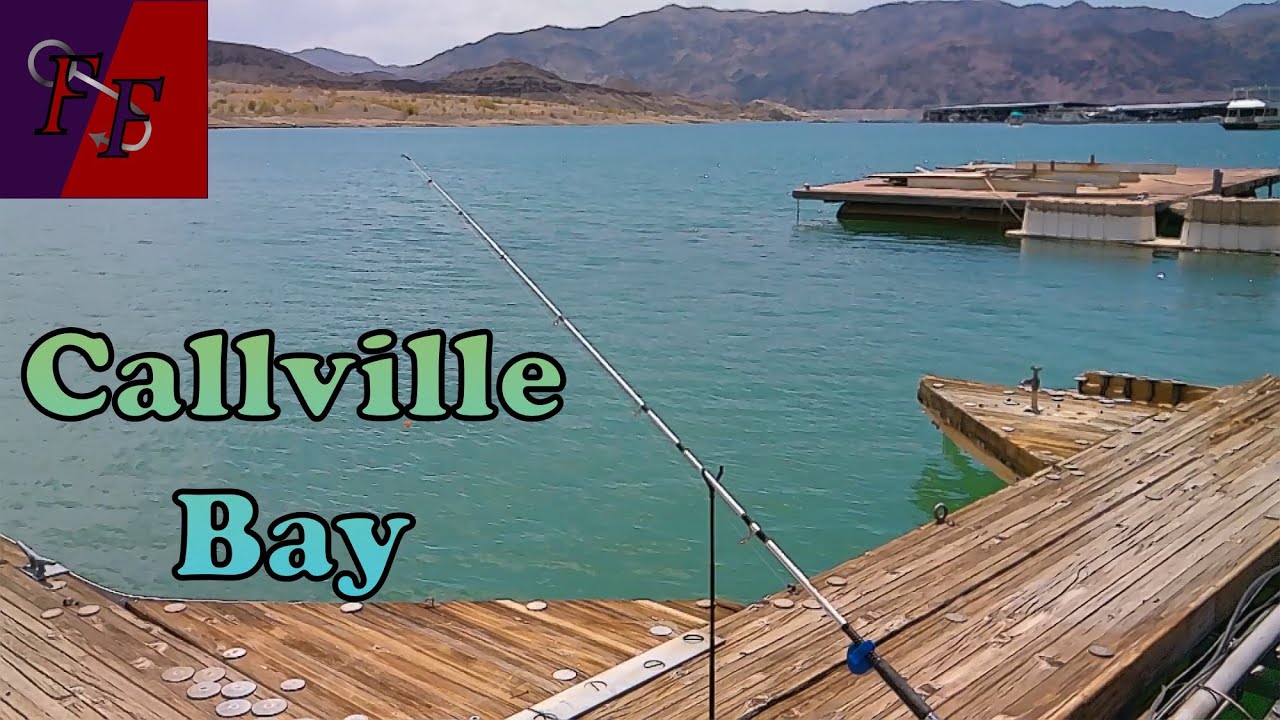 Fishing some docks at Callville Bay