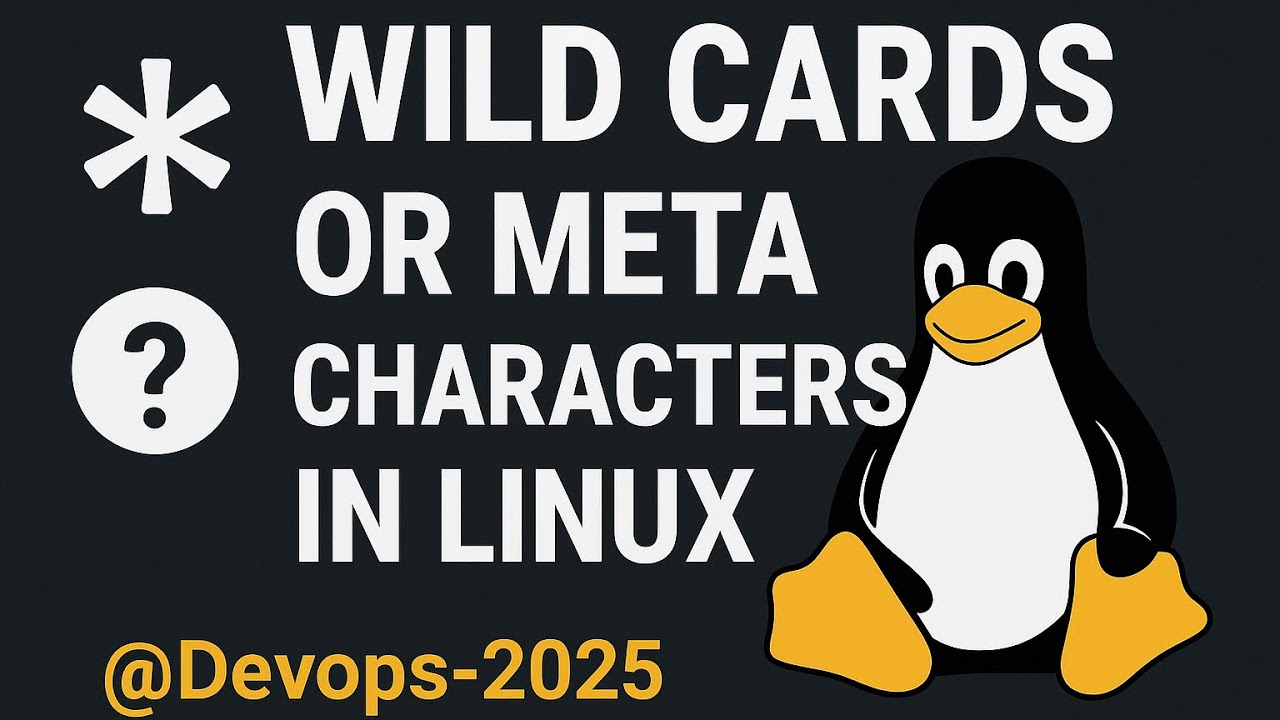 Wildcards & Meta Characters in Linux 