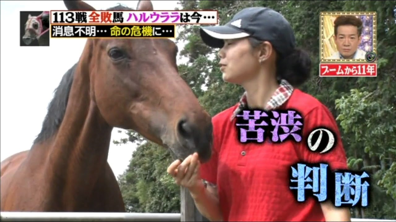 ウララその後３