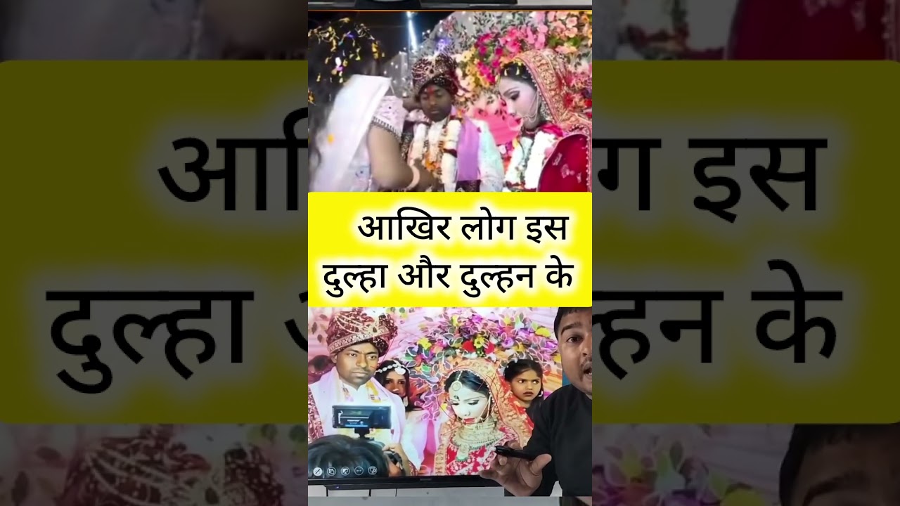 boxer शादी news #boxershadi  #trending #shadi #boxer #boxerfamily #boxershadi