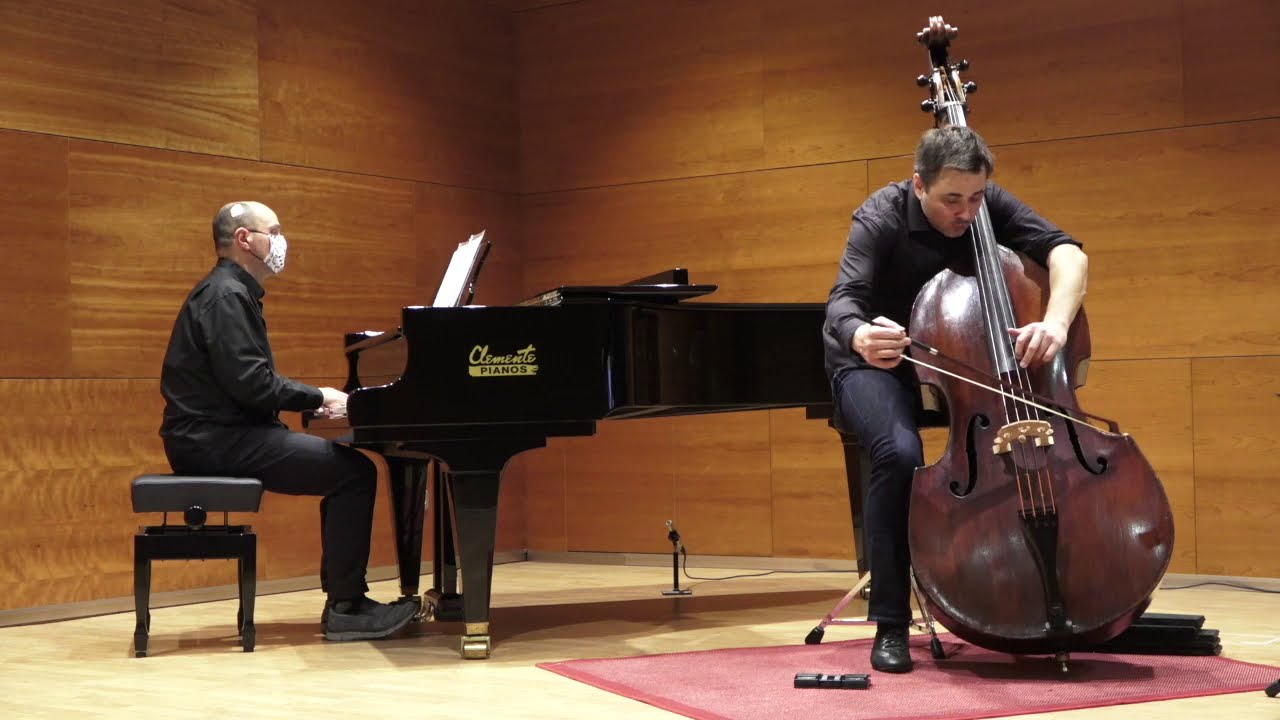Johann Baptist Vanhal Double Bass Concerto D Major  Mihai Ichim