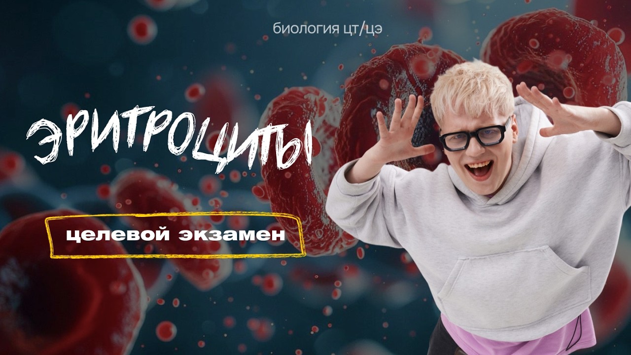 ЭРИТРОЦИТЫ. ГРУППЫ КРОВИ. РЕЗУС-ФАКТОР | Целевой экзамен