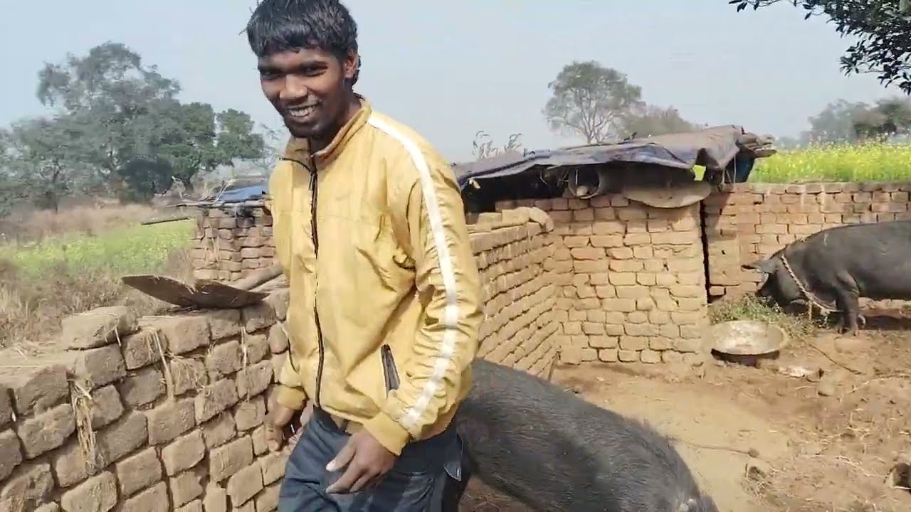 Suar ko jaldi Mota kese kare 