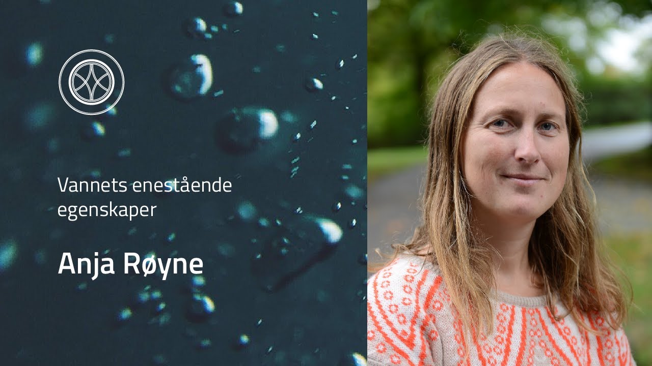 Anja Røyne: Vannets enestående egenskaper