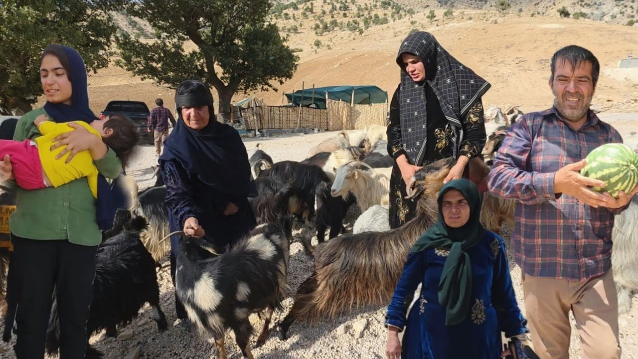 Learn the secret of nomadic life from grandma | Real nomadic life