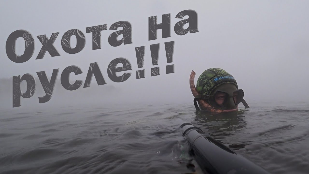 ПОДВОДНАЯ ОХОТА НА СОМА, КАРПА, СУДАКА!!!