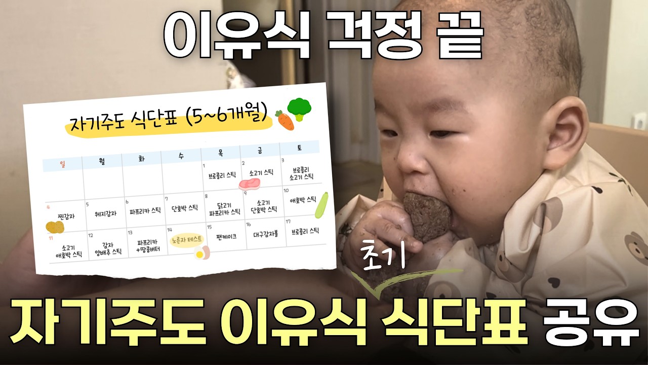 자기주도 이유식 초기 식단 이렇게만 하세요 | 식단표 공유