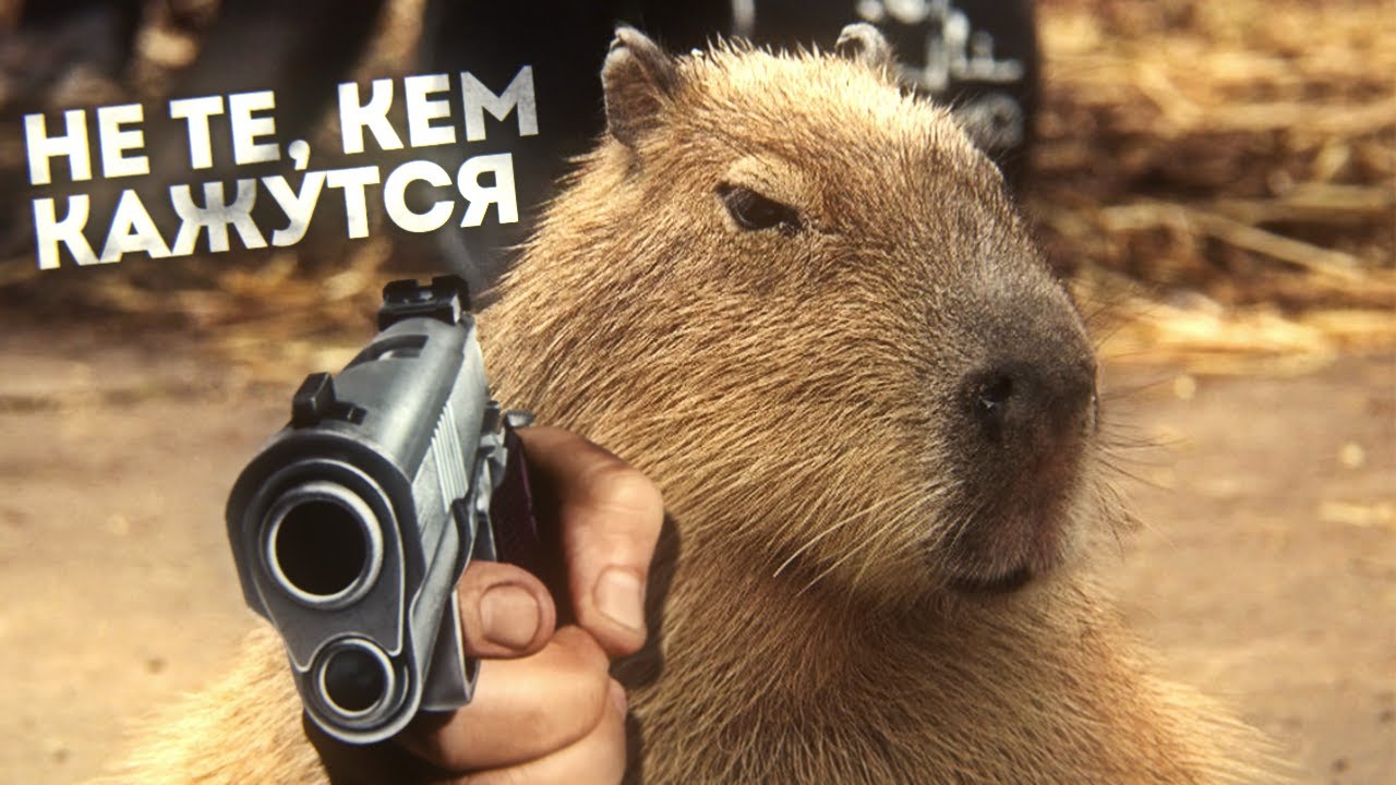 КАПИБАРЫ НЕ ТАКИЕ УЖ И ДОБРЫЕ