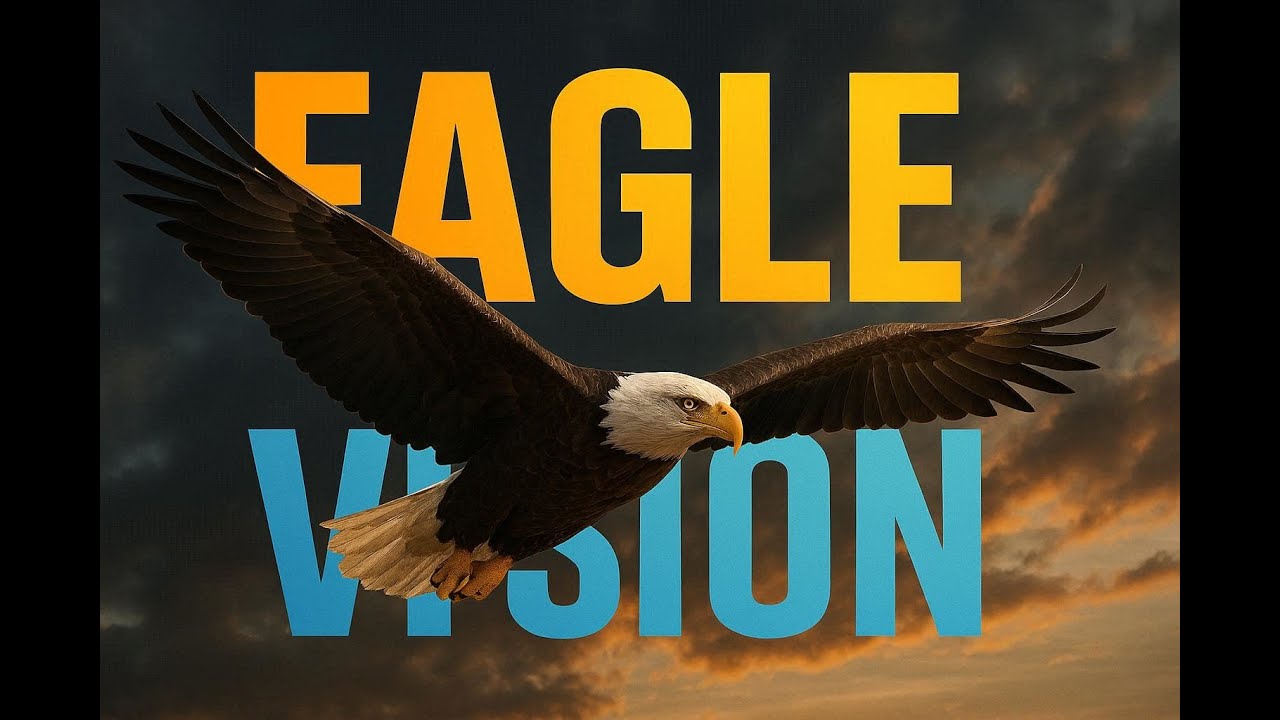 How Eagles See the World ?