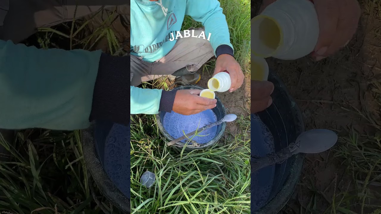 Nekat Pake Tebuconazole Bikin Cabemu Rusak!