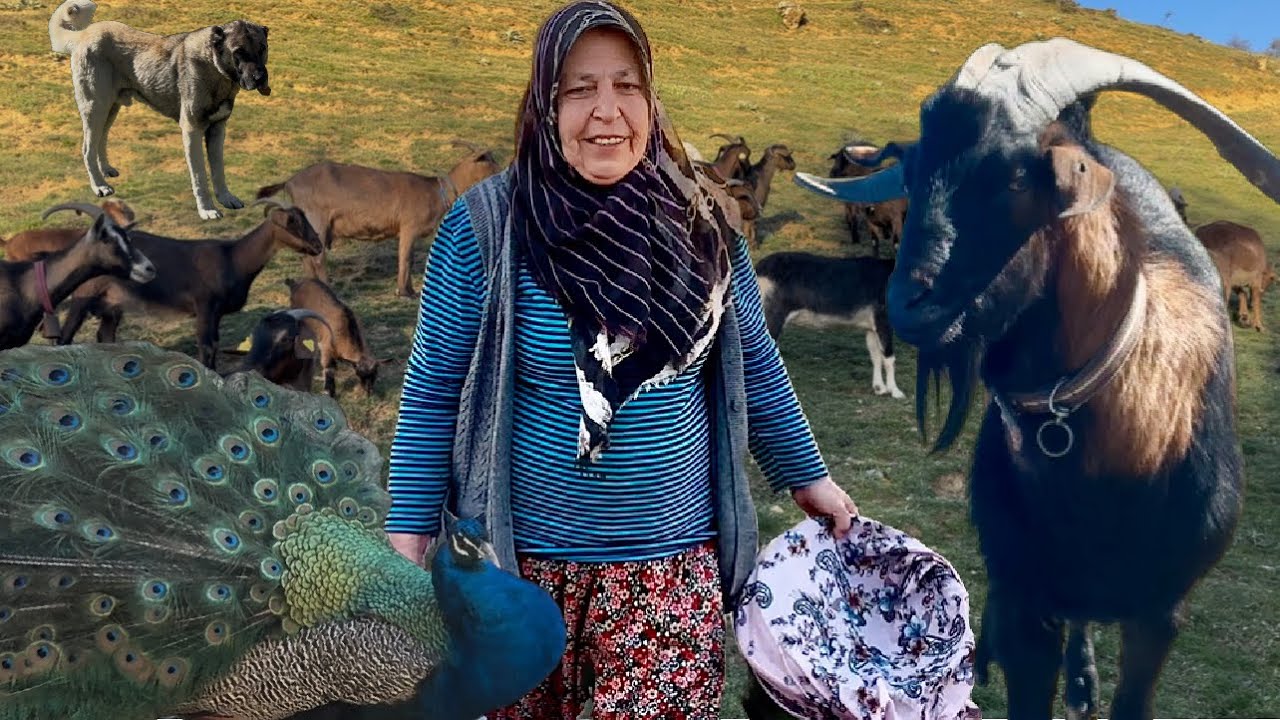 МАТЬ МАТЕРИ!!! ПРИГОТОВЛЕНИЕ ГОРНОГО КОЗЬЕГО СЫРА / ПТИЦА, ПРИЛЕТЕВШАЯ С НЕБЕС / СЕМЬЯ, КОТОРАЯ ЛЮБИ