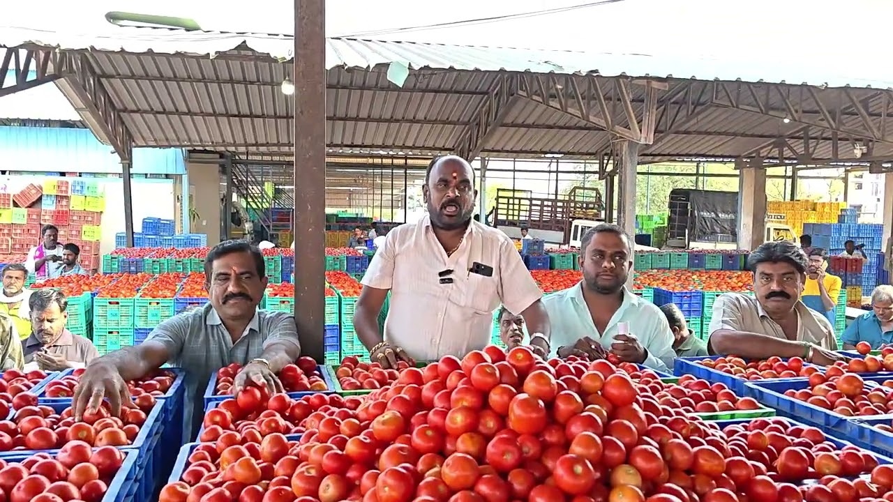 20/3/2026 n vaddahlli daily update market tamma 🍅 subscribe my channel like share comment please 🩵