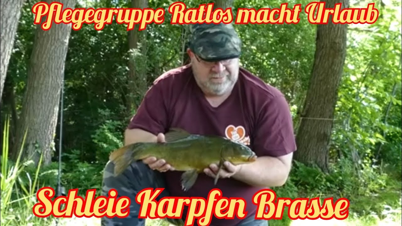 Pflegegruppe Ratlos macht Urlaub - Schleie, Karpfen, Brasse