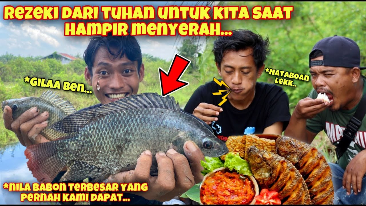 TANGAN SAMPE GEMETAR!! IKAN NILA TERBESAR YANG PERNAH KITA DAPAT LANGSUNG OLAH DI ALAM