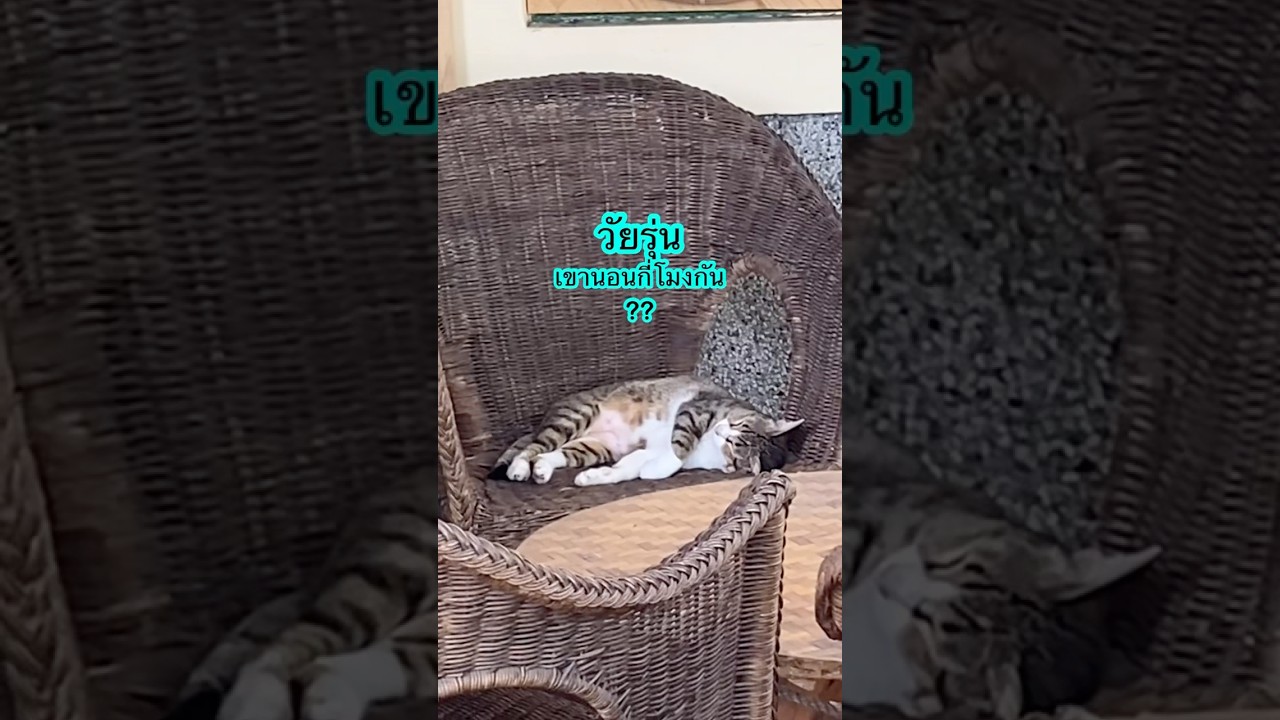 วัยรุ่นนอนกี่โมง