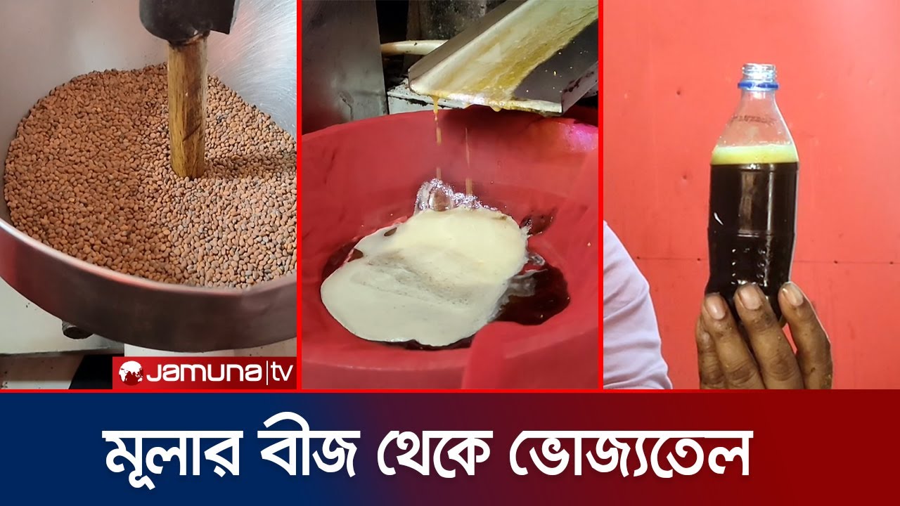 ৩ কেজি মূলার বীজ থেকে ১ কেজি তেল! বাজিমাত সেলিম দম্পতির | Radish Oil