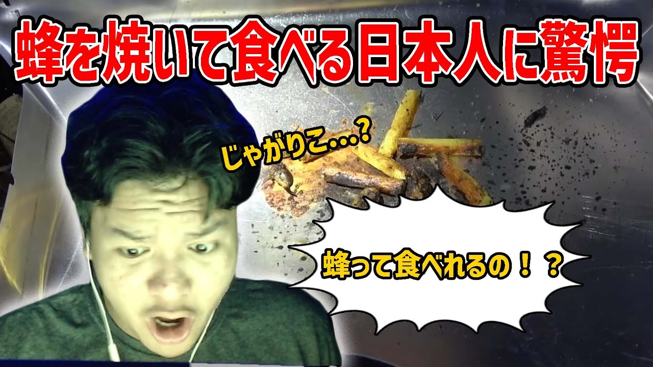 【REACTION】WATCHING THE GUY GETTING RID OF A BEEHIVE AND EATING THEM【Euriece/ユリース】