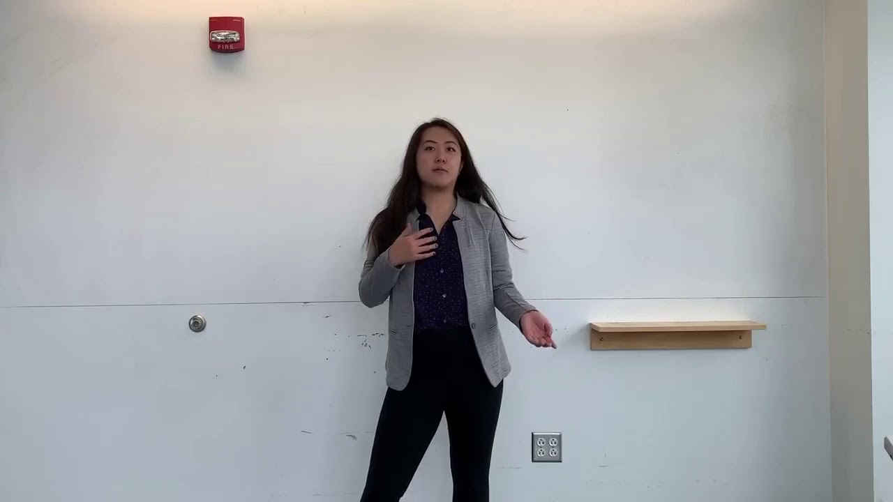 Rutgers MAE Senior Design 2019-2020: L1 Elevator Pitch