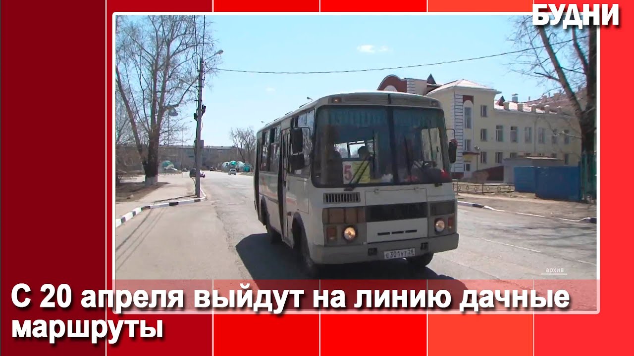 На дачу отвезут автобусы