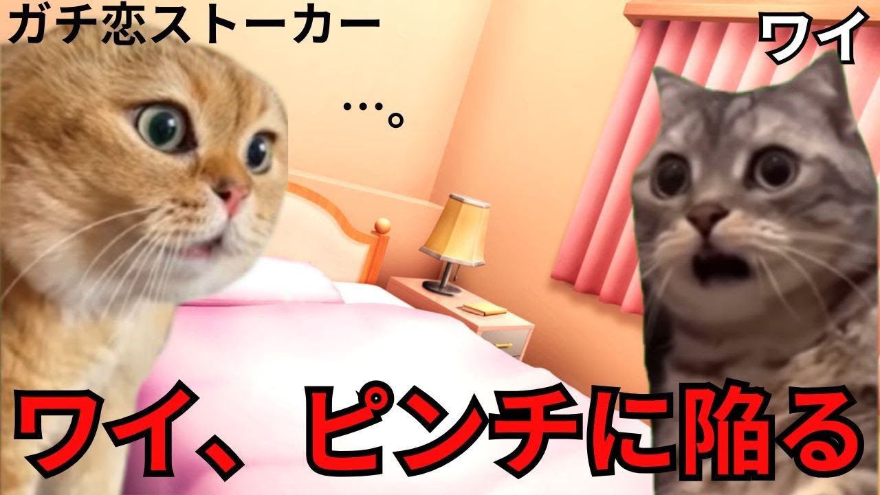 【泡姫まりこの日常】35歳の鬼ヤバガチ恋客が隣に越してきた話