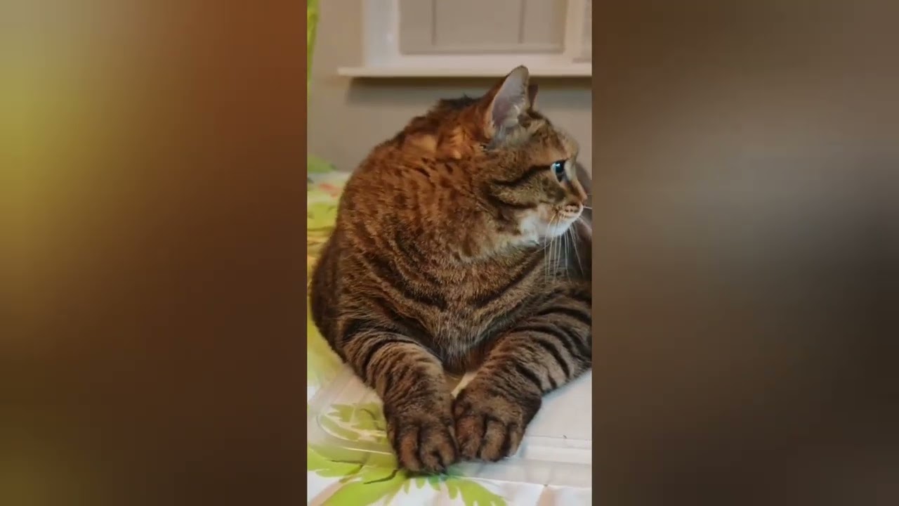 Про пятницу и не только 🤔😉😻🤣
