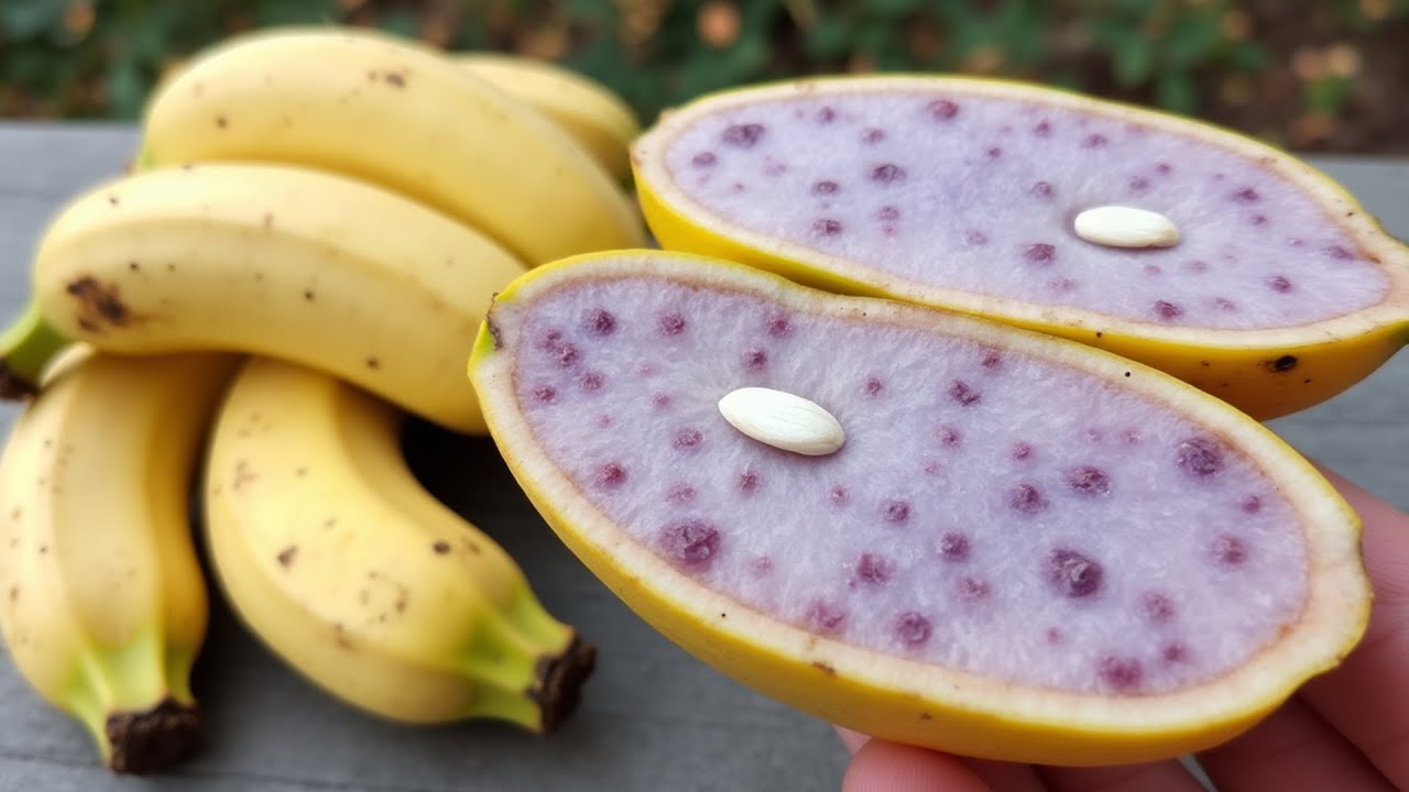 15 Exotic Fruits That Look Too Crazy to Be Real
