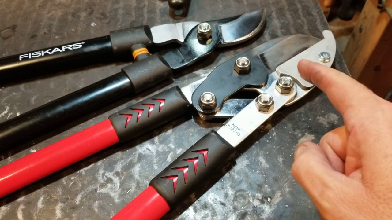 Anvil lopping shears sharpen and tune up #orchard #anvilshears #pruning #blackberries