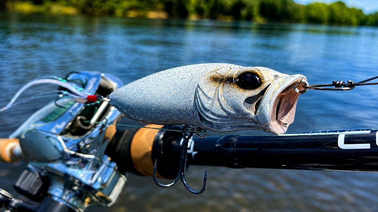 A GIANT Bass Wanted the MegaBass PopMax
